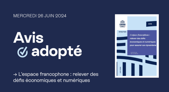 Avis adopté L’espace francophone : relever des défis économiques et numériques, mercredi 26 juin 2024